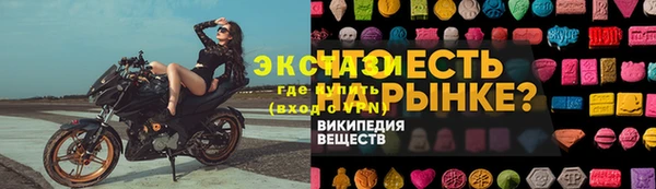 индика Богородицк