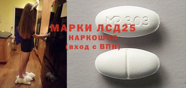 индика Богородицк