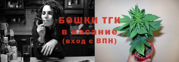дживик Елизово