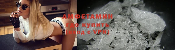 индика Богородицк