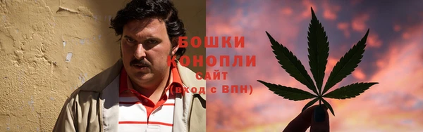 гашиш Богданович