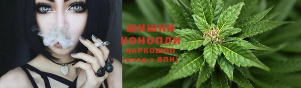 дурь Ельня