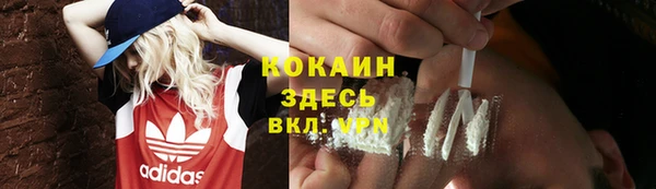 индика Богородицк