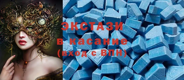 индика Богородицк