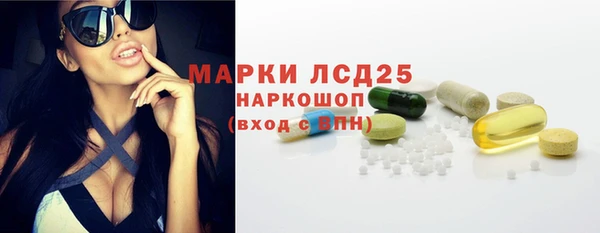 индика Богородицк