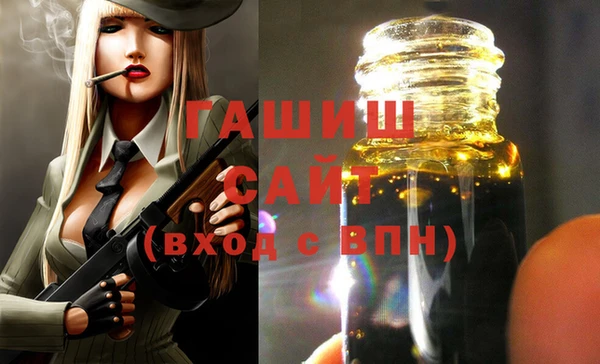 индика Богородицк