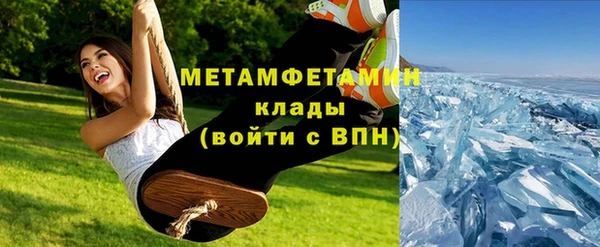 индика Богородицк