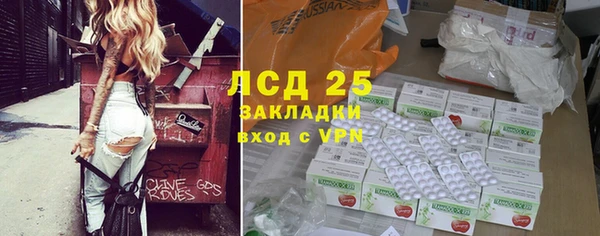 индика Богородицк