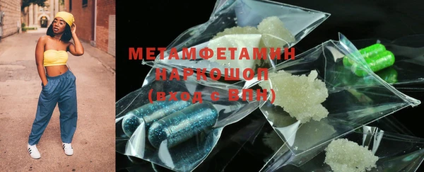 индика Богородицк