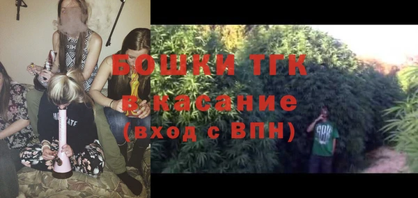 индика Богородицк