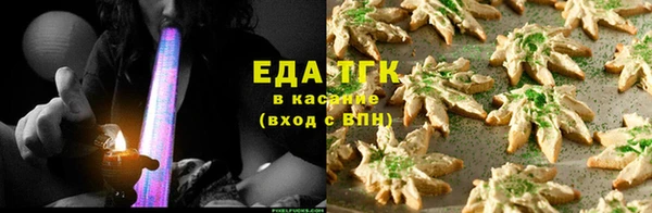 индика Богородицк