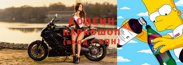 индика Богородицк
