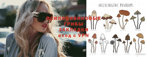 гашиш Богданович
